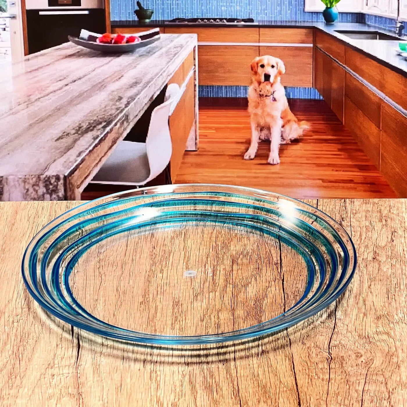 Designer Swirl Acrylic Dinner Plates (Set of 4) by HouseOfZazla