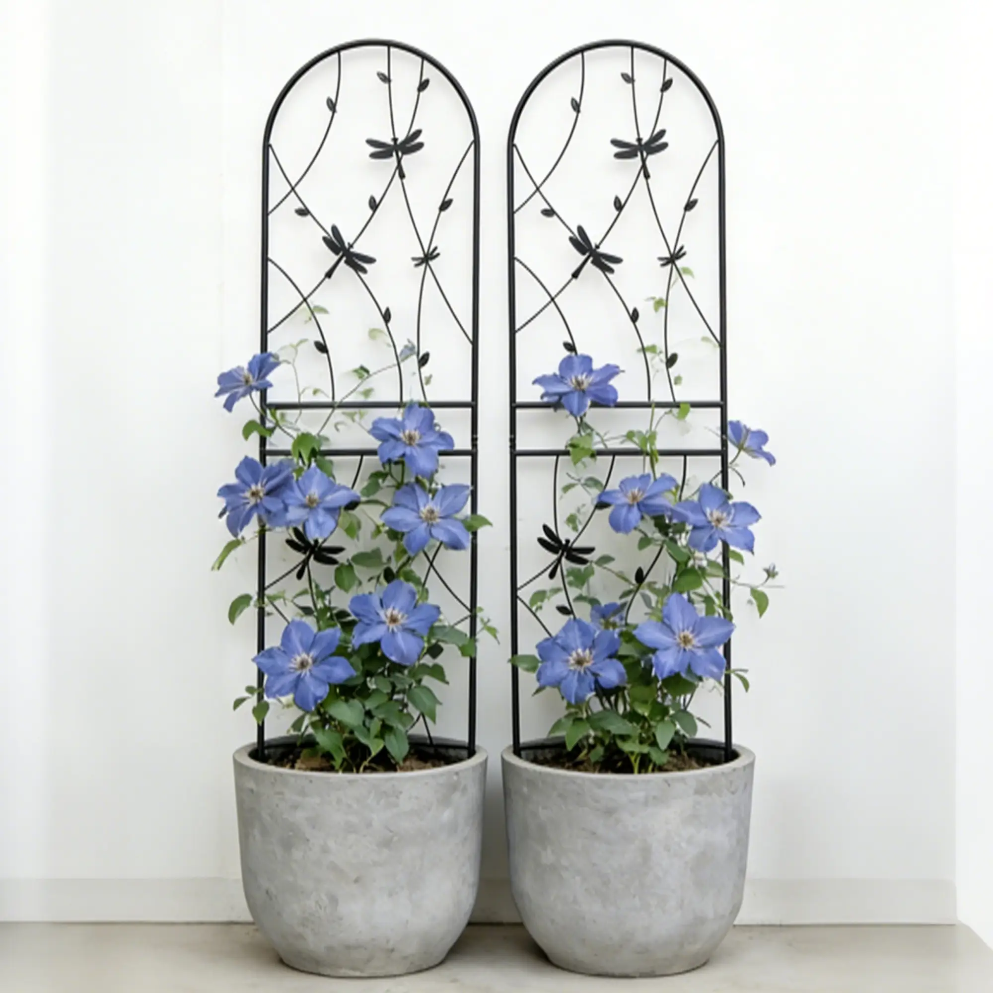 2 Pack Metal Garden Trellis 71" x 19.7" Rustproof Trellis for Climbing Plants by HouseOfZazla