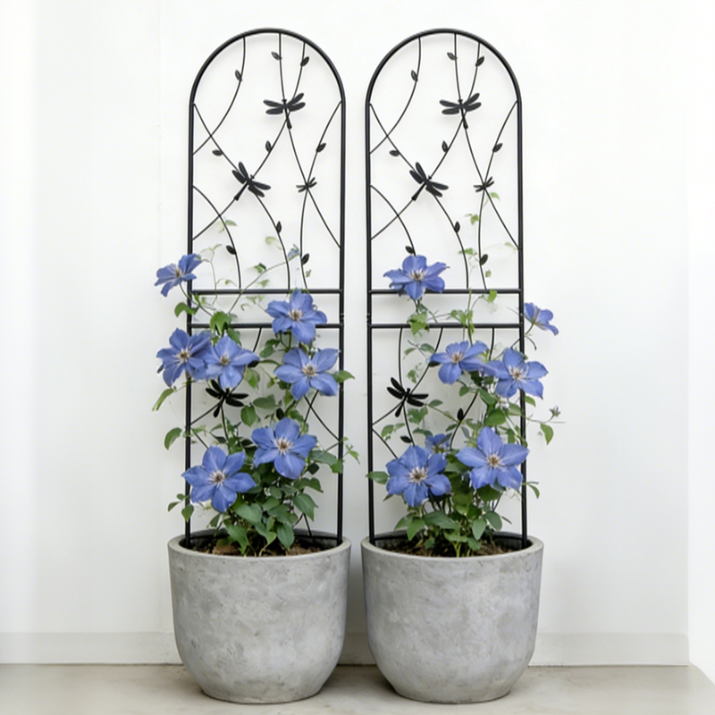 2 Pack Metal Garden Trellis 71" x 19.7" Rustproof Trellis for Climbing Plants by HouseOfZazla