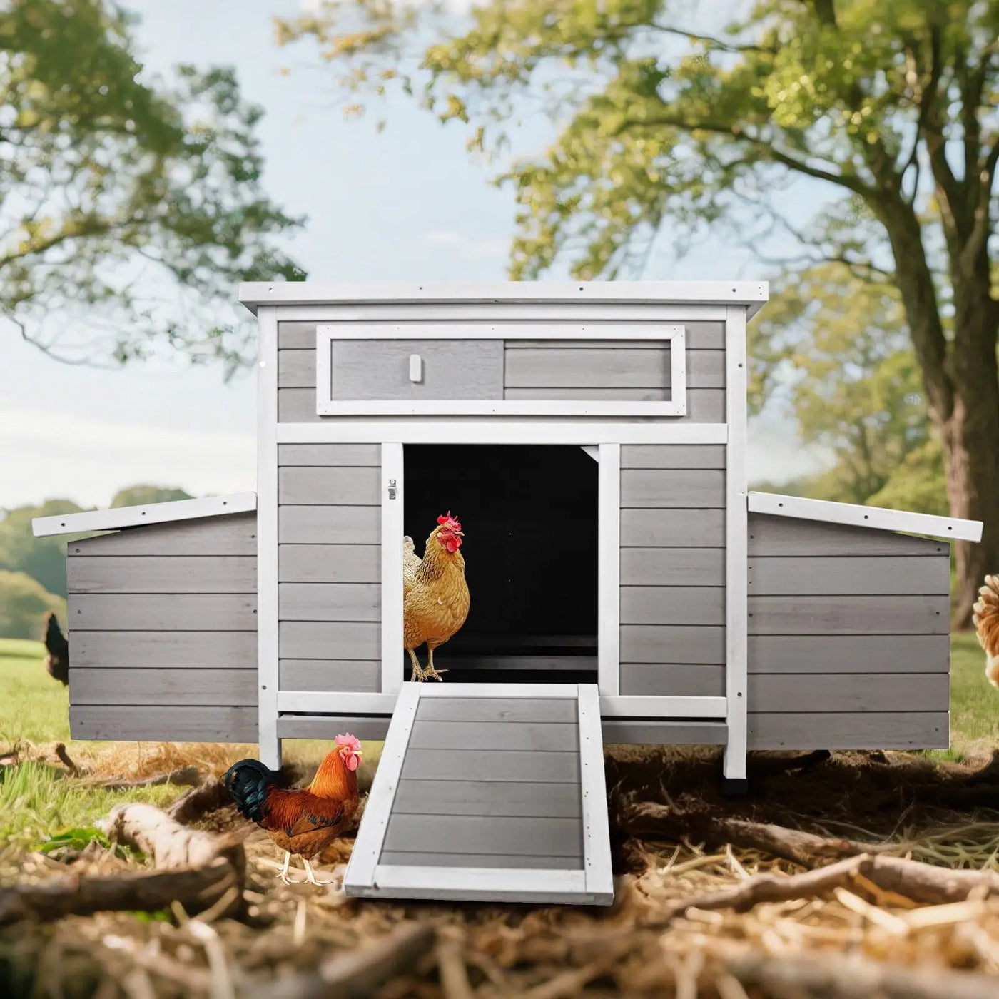 Large Chicken Coop Outdoor Hen House & Dual Nesting Boxes by HouseOfZazla