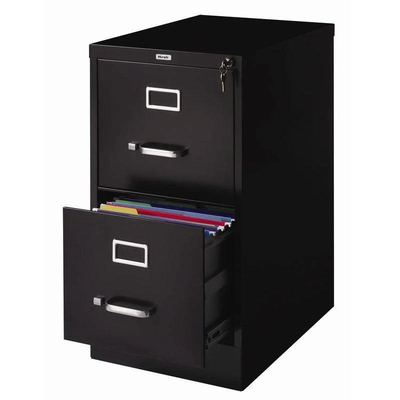 2-Drawer Vertical Filing File Cabinet with Lock in Black Metal by HomePacific