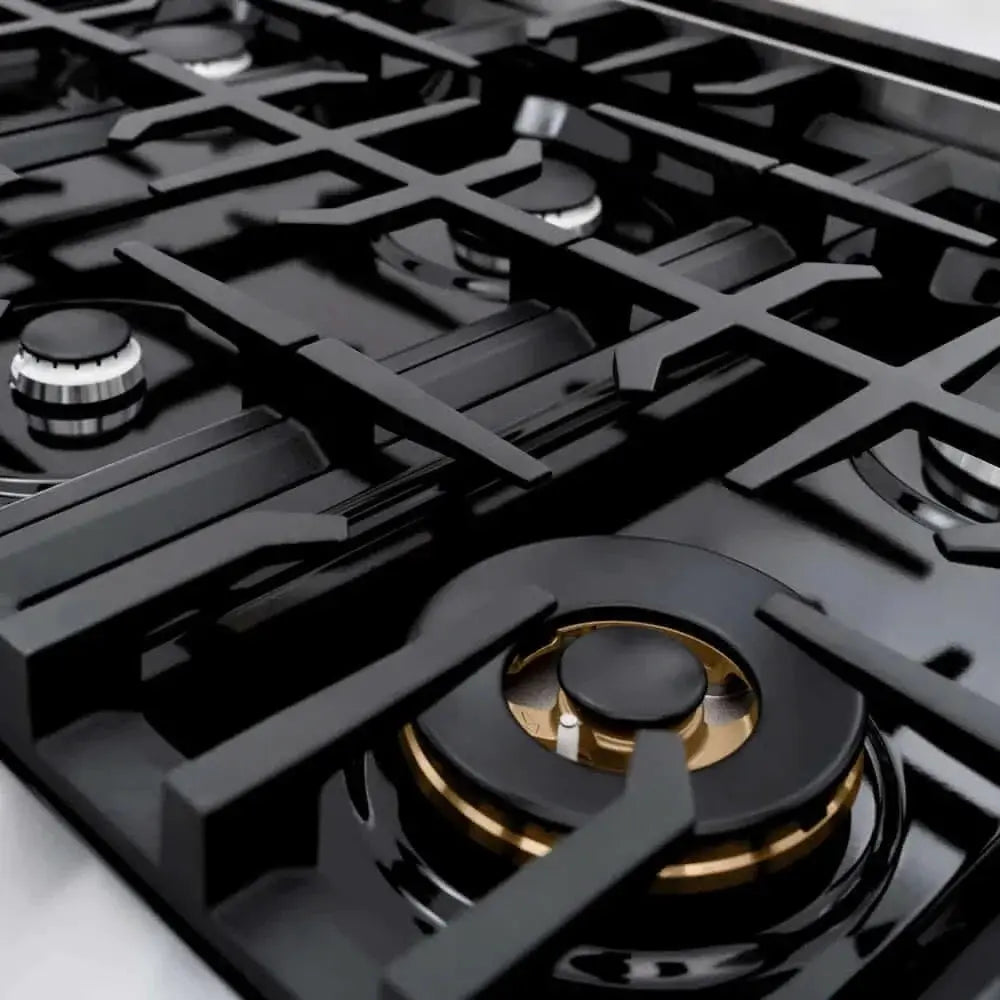 ZLINE 48" Select Gas Range Gas Convection Gas Oven Stainless Steel Black Matte Door HGR-BLM-48 by Farmhouse Kitchen and Bath