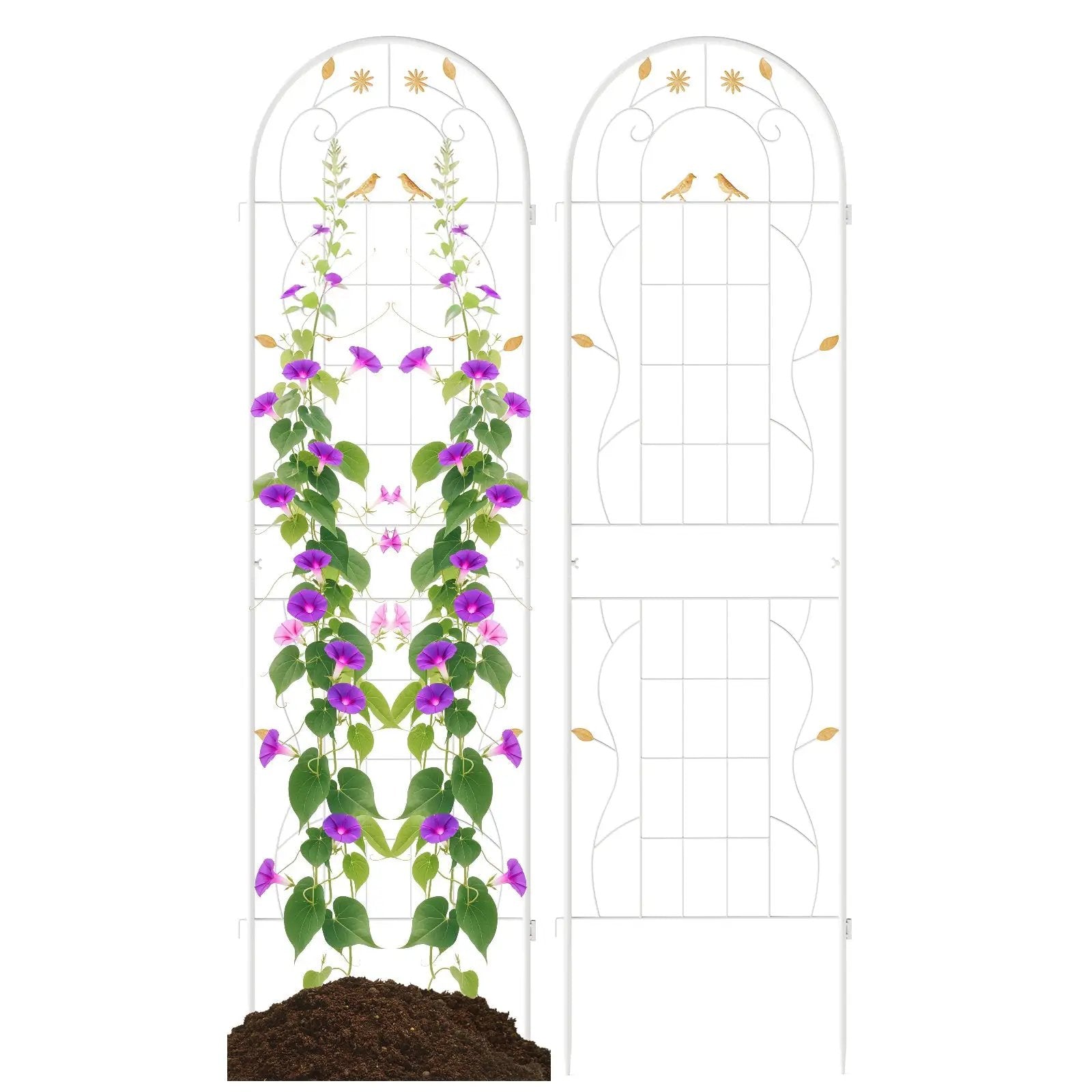 2 Pack 71 x 20 Inch Metal Garden Trellis Rustproof Plant Support for Climbing Plants by DirectDeals