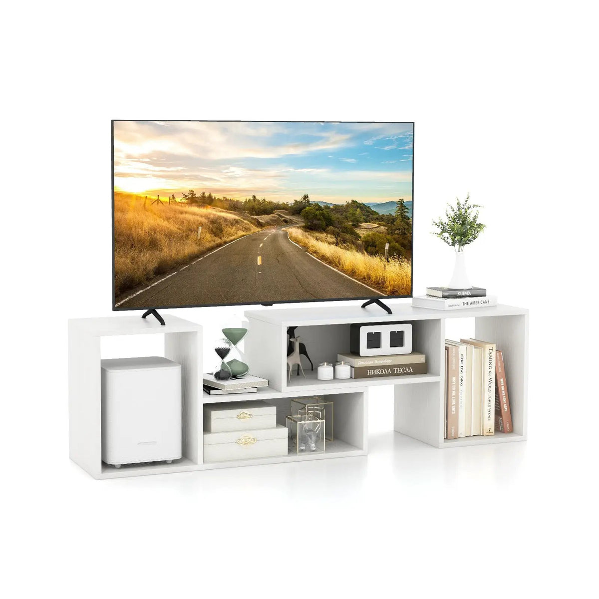 2 Pieces Adjustable TV Stand for TVs up to 55 Inch with Storage Cubes by DirectDeals