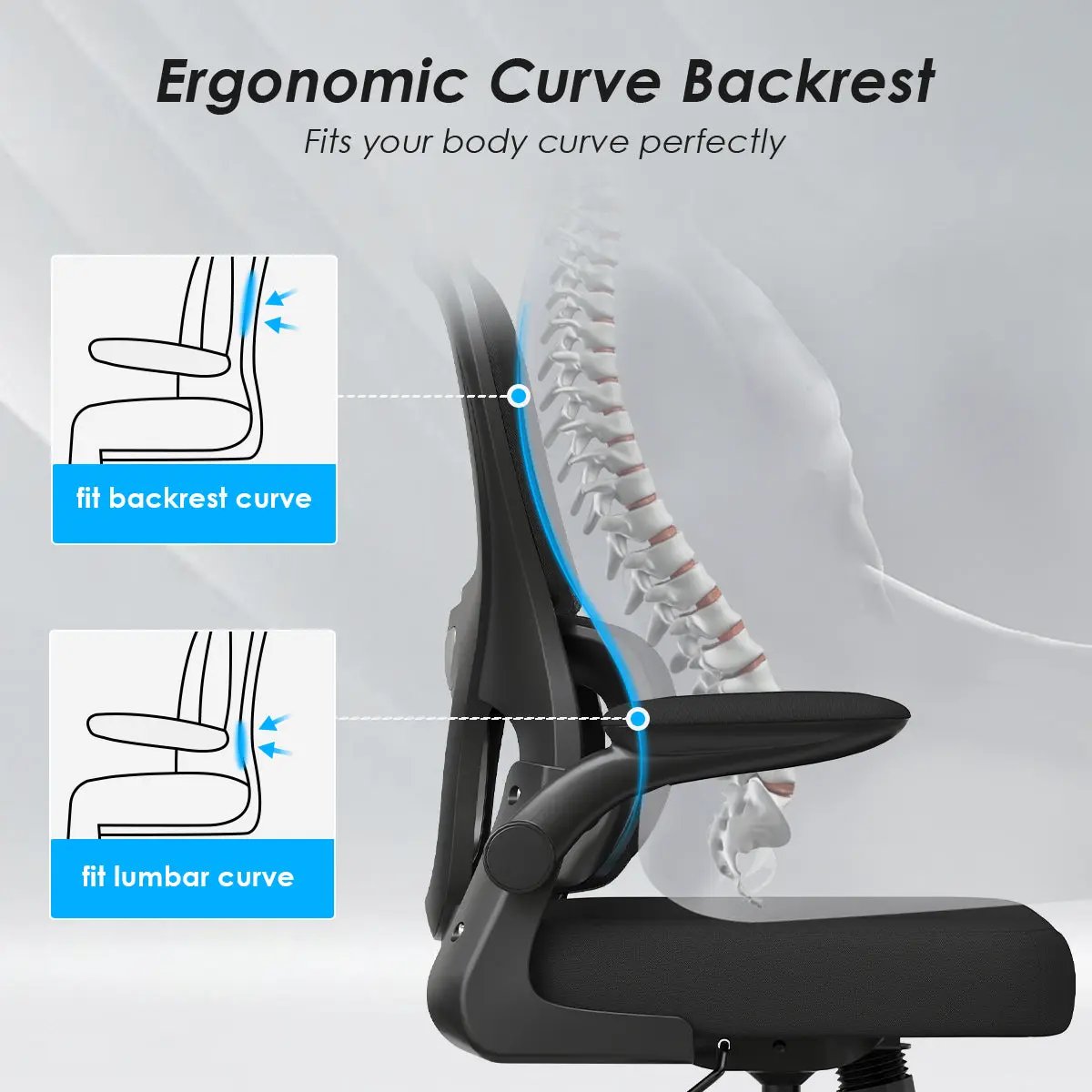 Ergonomic Mesh Office Chair with Lumbar Support by HouseOfZazla