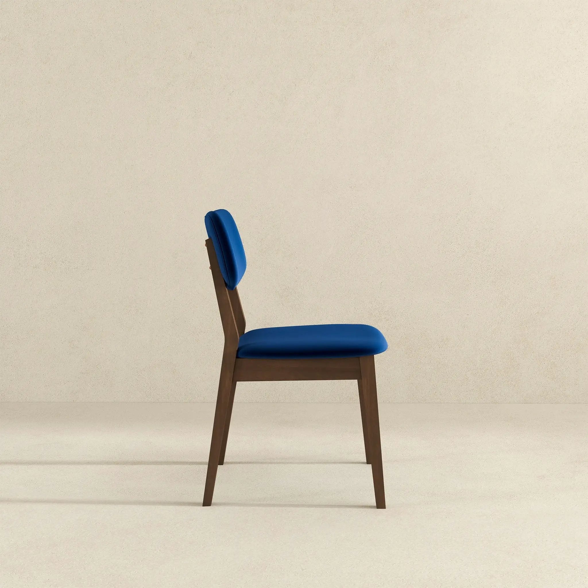 Carlos - Solid Back Side Chair (Set of 2) by HouseOfZazla