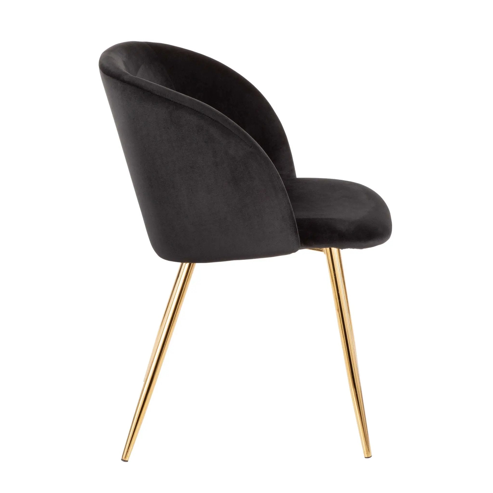 Fran - Contemporary Elegant Design Chair (Set of 2) by Unique Piece Furniture