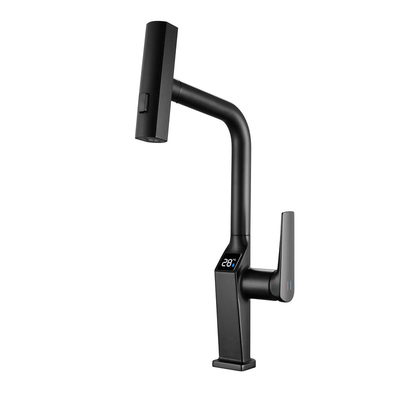 Touchless Matte Kitchen Faucet by HouseOfZazla