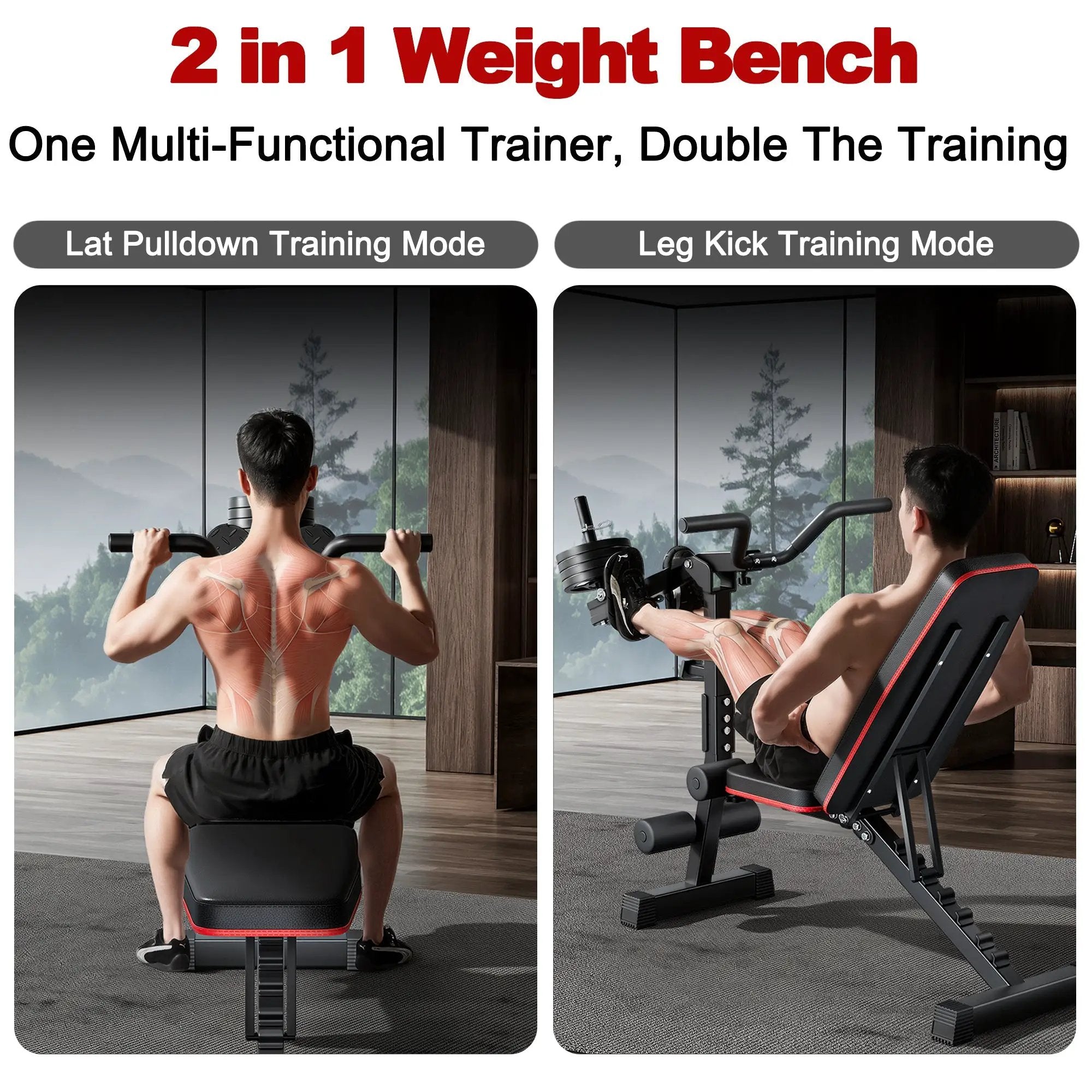 Multi-Functional Adjustable Weight Bench by HouseOfZazla