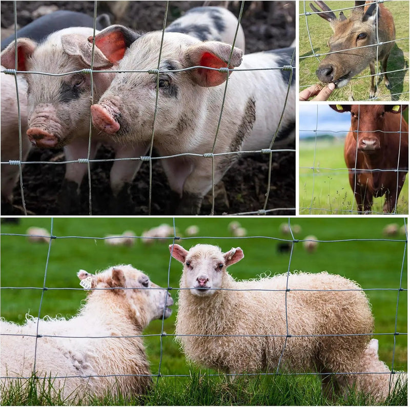 Farm Fence - 3ft x 164ft Heavy Zinc Coated Cattle Fence by HouseOfZazla
