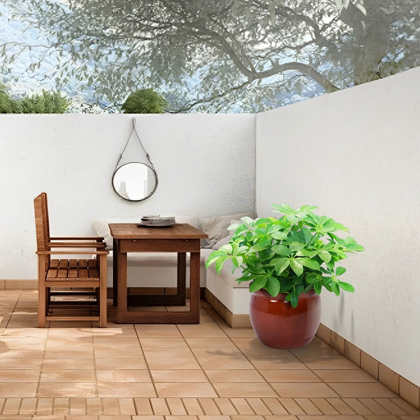 3 Pieces Ceramic Flowerpot Planter for Patio, Garden or Windowsills by HouseOfZazla