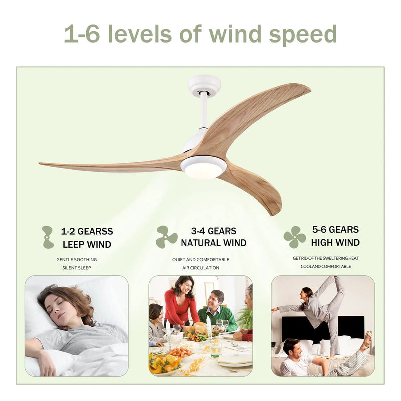 Indoor Outdoor Ceiling Fan With Light With Remote Control, Noiseless Reversible Motor, 6 Speed, 3 Color by HouseOfZazla