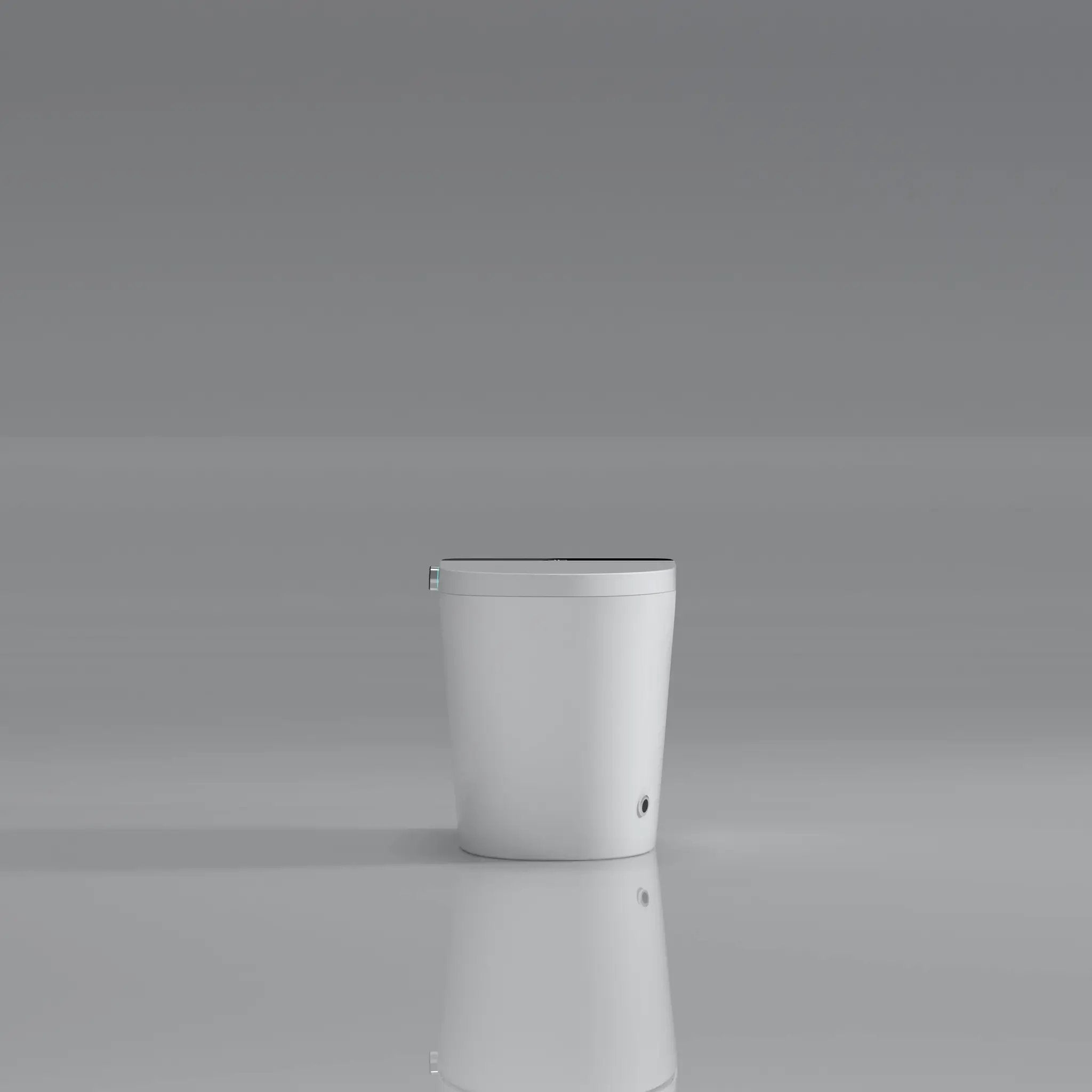 Modern Smart Toilet with Bidet Seat Built-in by HouseOfZazla