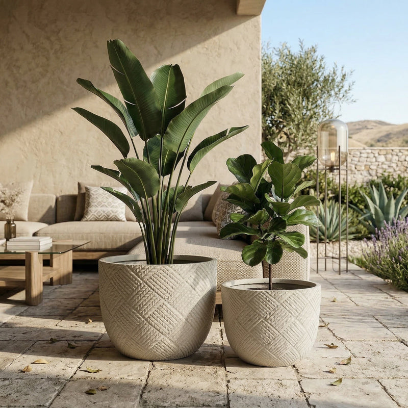 Round Concrete Planter Set of 2 by HouseOfZazla