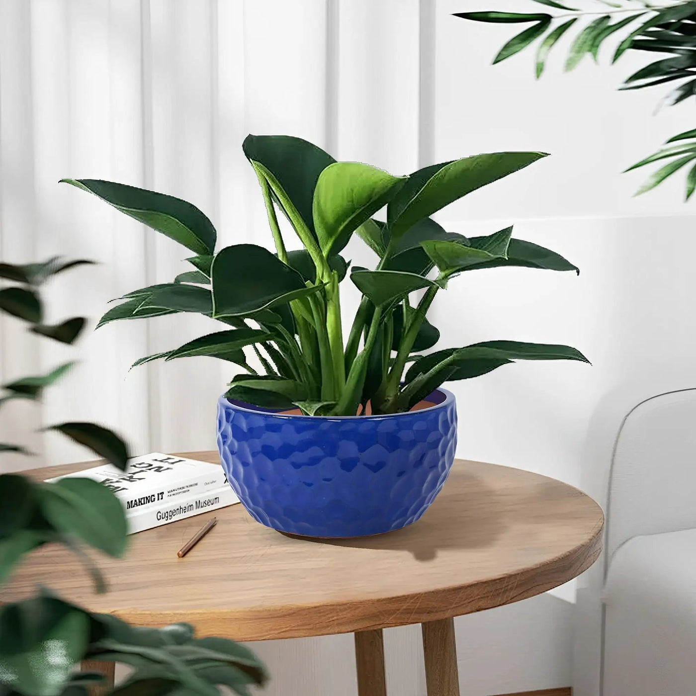 3 Pieces Ceramic Flowerpot by HouseOfZazla