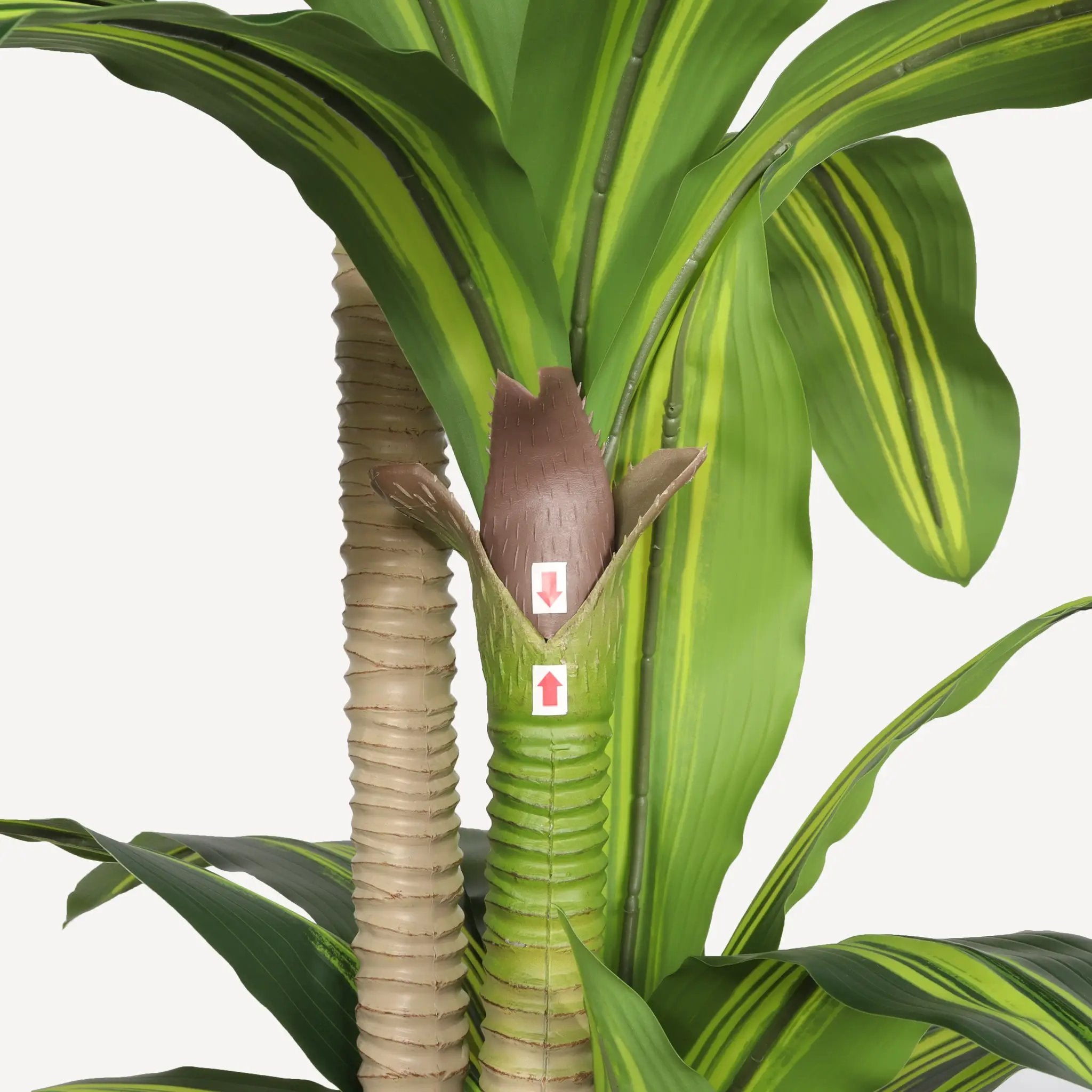 6' Artificial Dracaena Tree by HouseOfZazla