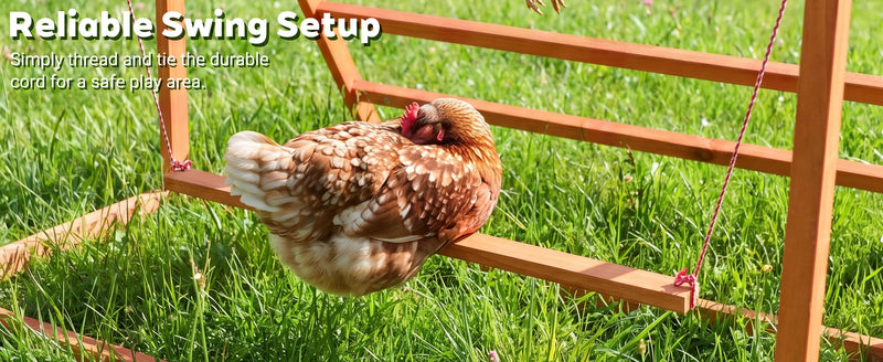 3-in-1 Nesting Boxes for Chickens with Perch and Swing by HouseOfZazla