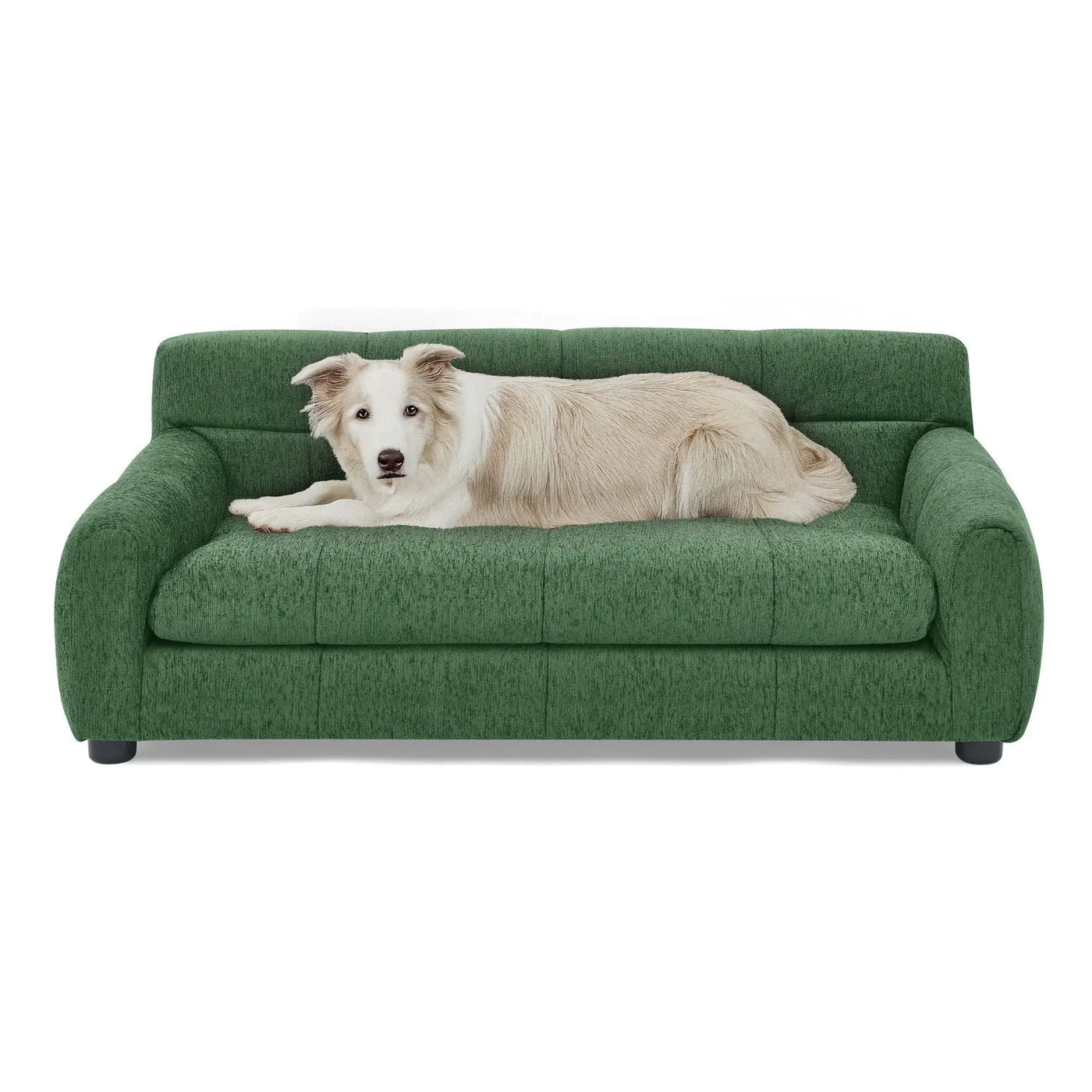 Modern Pet Sofa With Backrest And Armrests by HouseOfZazla