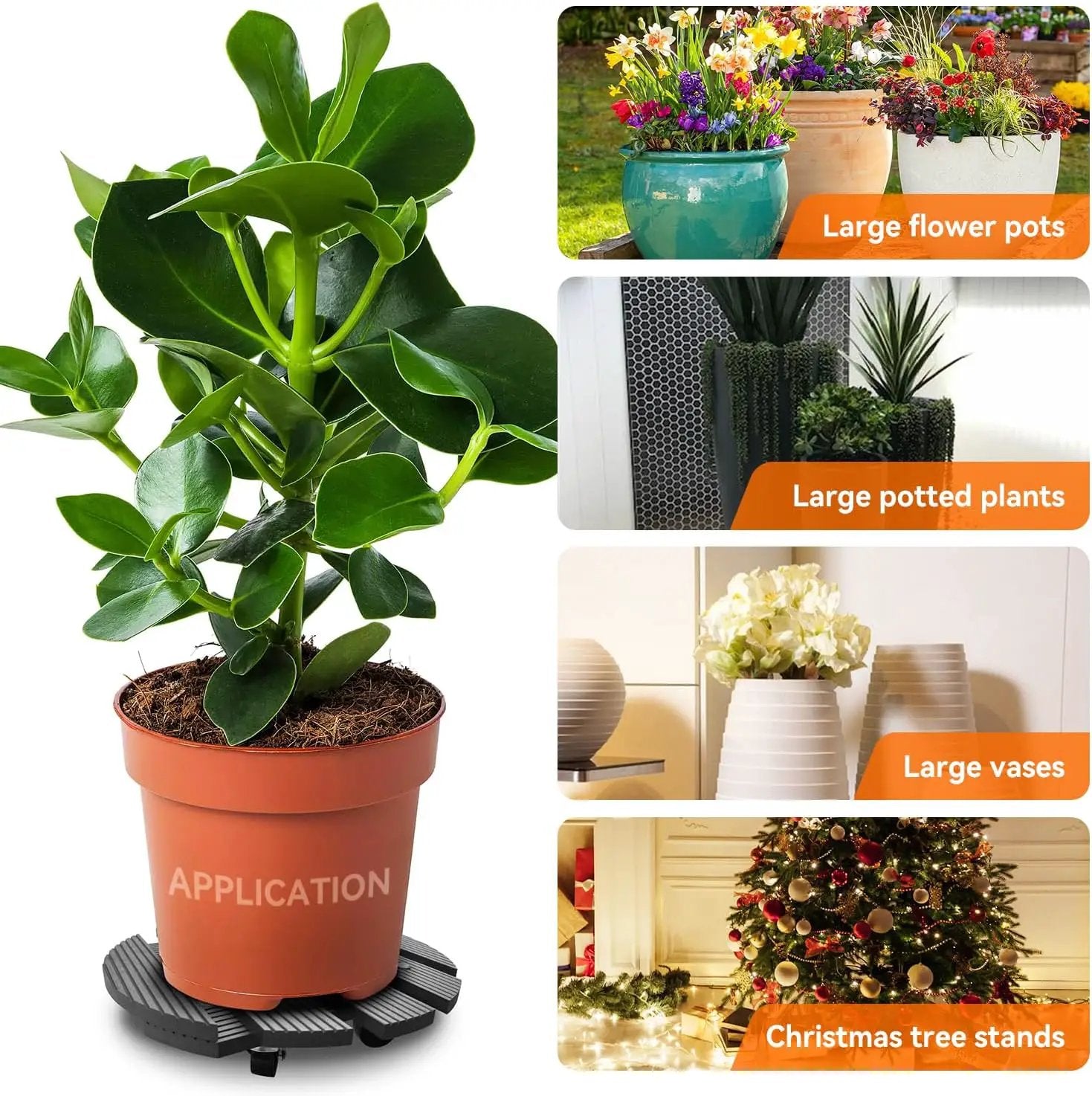 6-Pack 12" Round Plant Stand with 360° Lockable Caster Wheels by HouseOfZazla