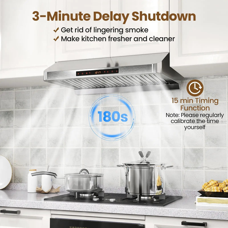 30 Inch Under Cabinet Range Hood with Oil Collector 900 CFM Stainless Steel Kitchen Vent-Silver by DirectDeals