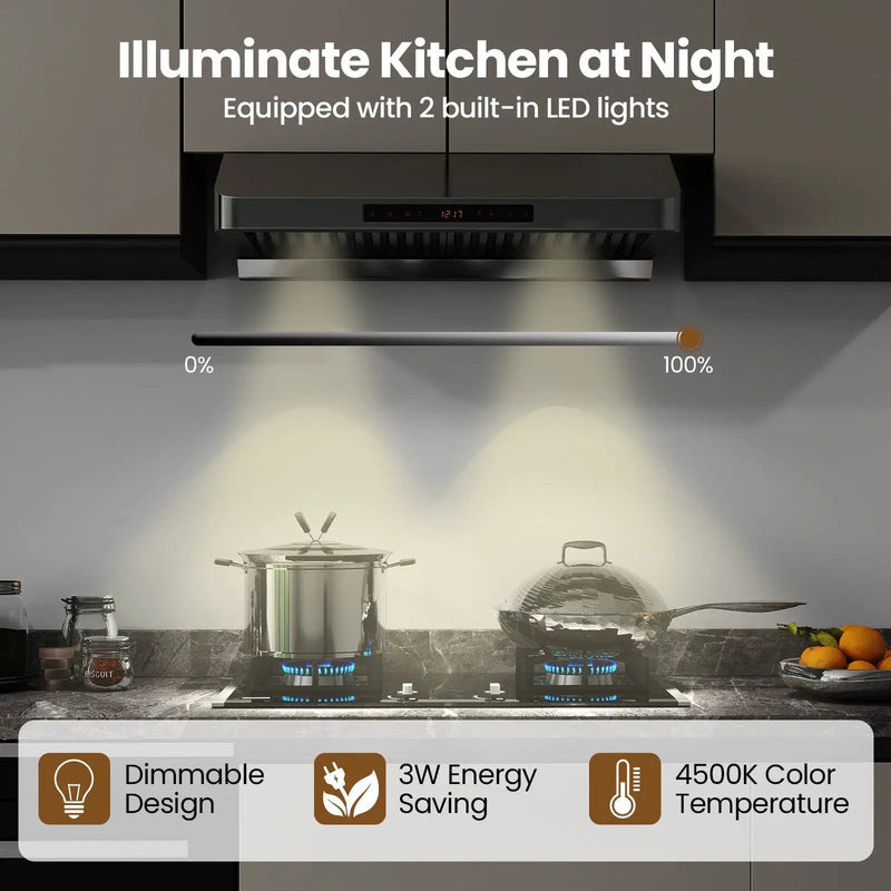 30 Inch Under Cabinet Range Hood with Oil Collector 900 CFM Stainless Steel Kitchen Vent-Silver by DirectDeals