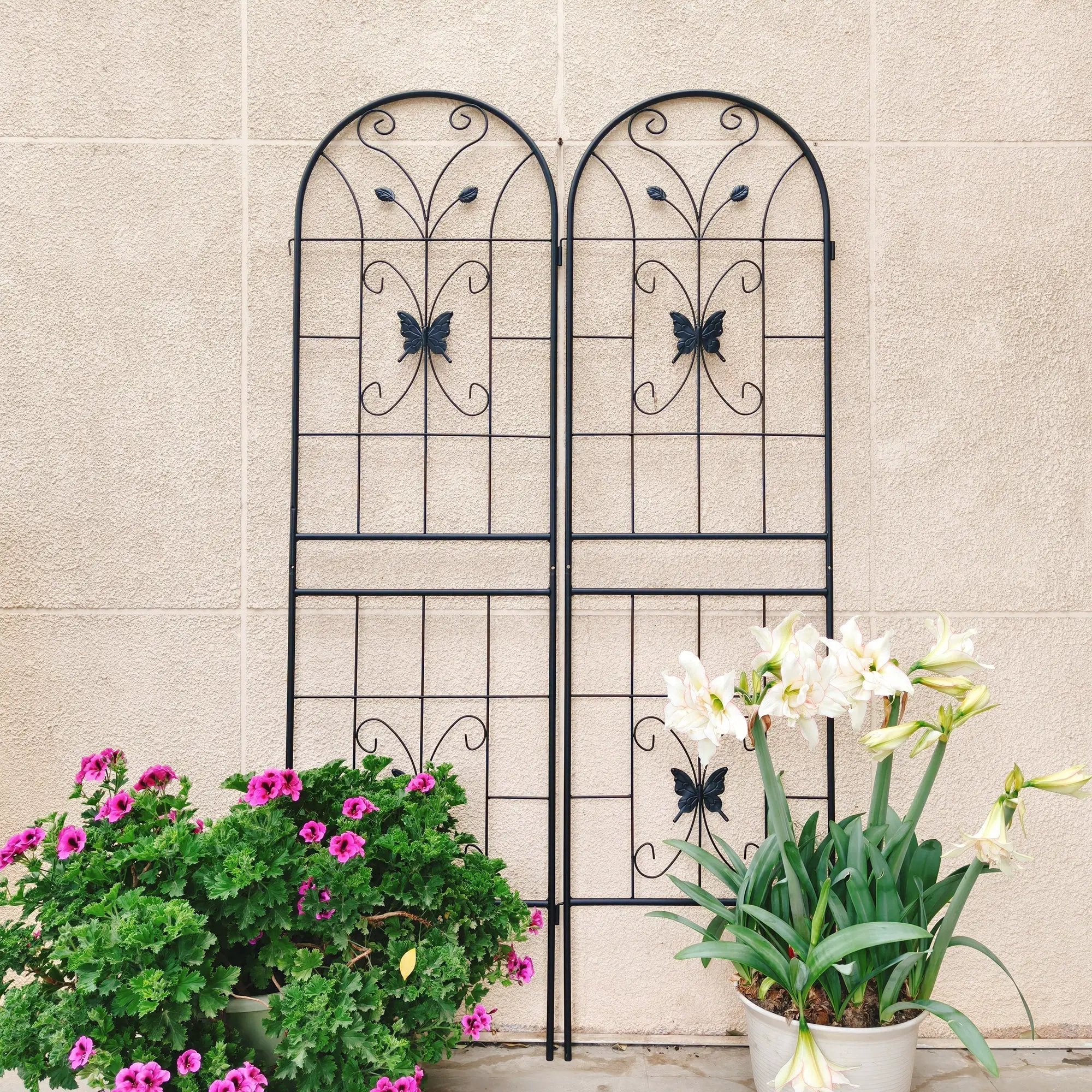 2 Pack Metal Garden Trellis 71" x 19.7" Rustproof Outdoor Support by HouseOfZazla