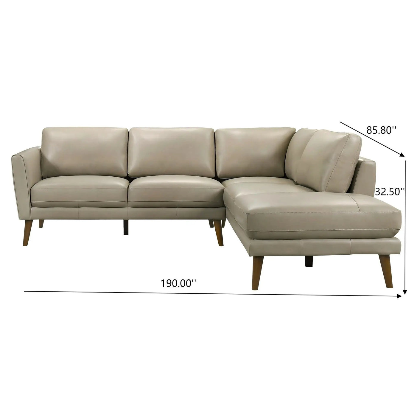 Benson - Sectional Sofa With Chaise by HouseOfZazla
