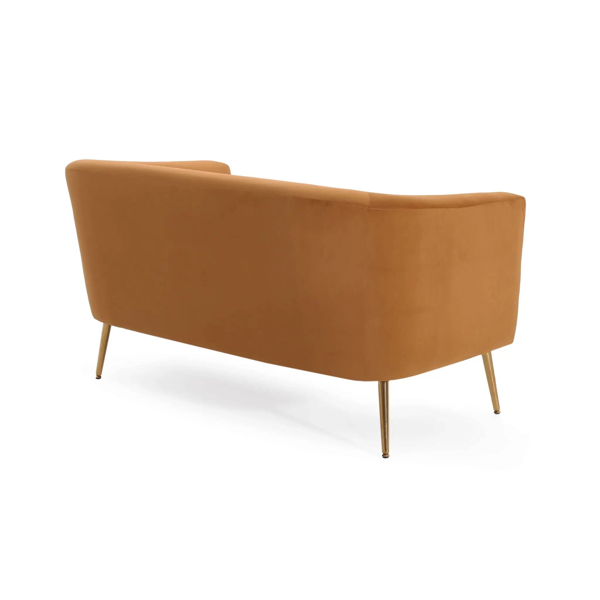 Modern Elegant Design Style Loveseat by HouseOfZazla