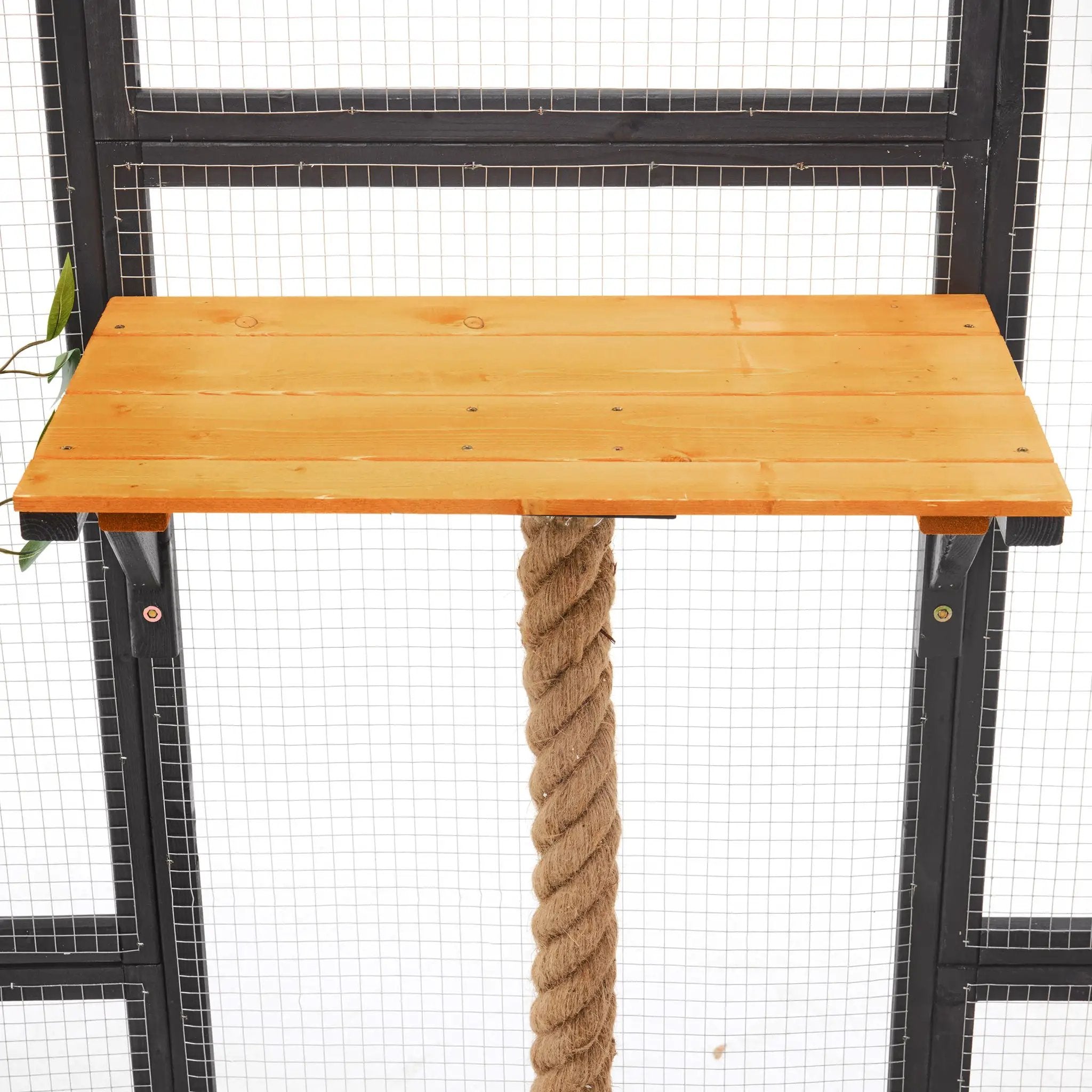Outdoor Cat House, Diy Cat Enclosure Catio With Double Enter Doors by HouseOfZazla