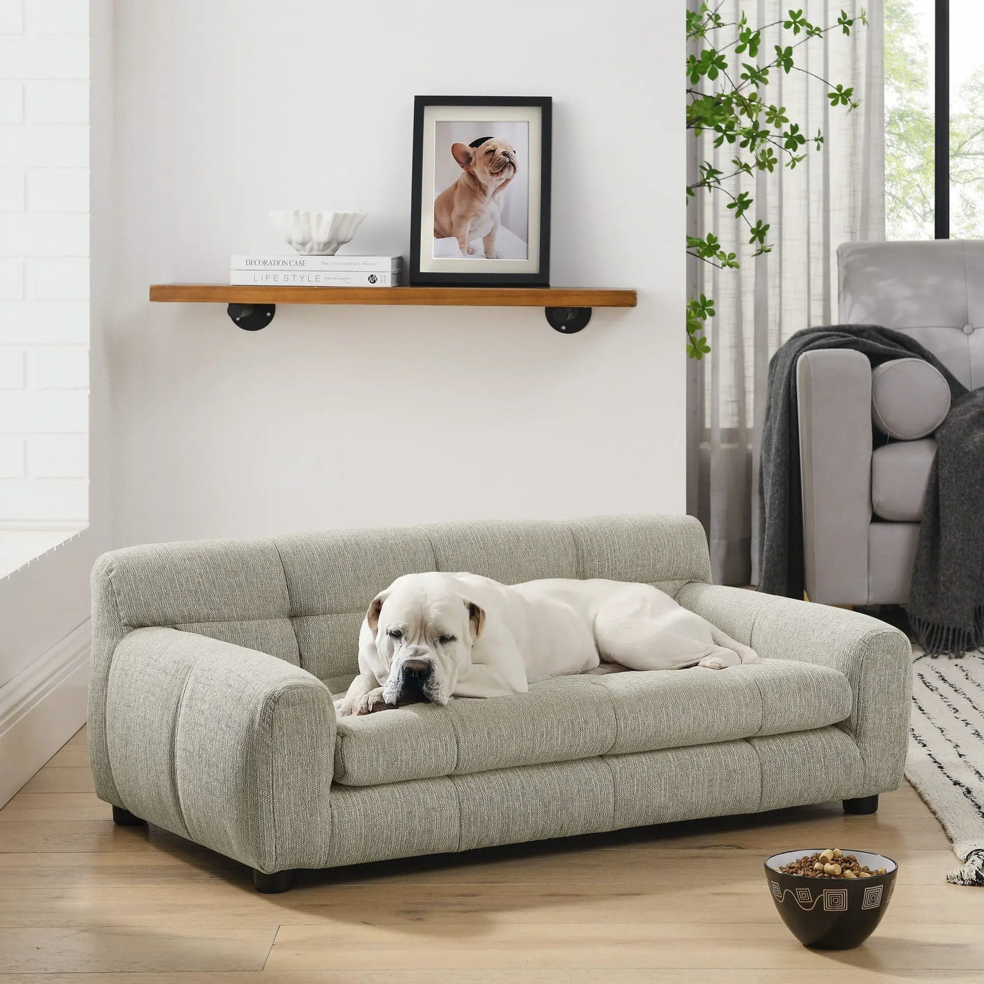 Modern Pet Sofa With Backrest And Armrests by HouseOfZazla