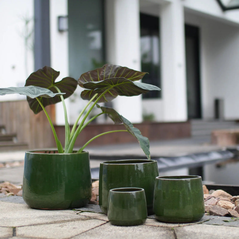 Handmade Solid Glazed Ceramic Planter Set of 4 by HouseOfZazla