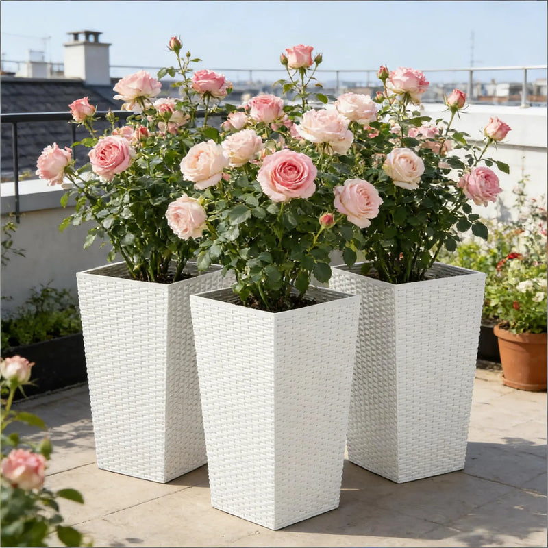 Spacious Plant Pots, Plants Box Set of 3, Tall Planters Box by HouseOfZazla
