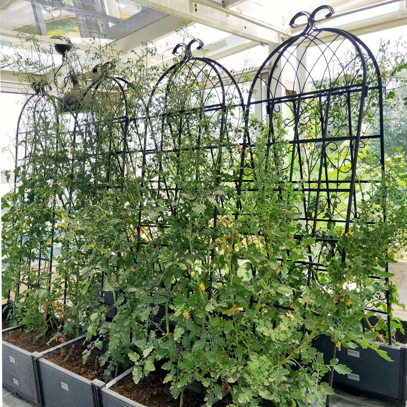 Metal Garden Rustproof Trellis For Climbing Plants Outdoor Flower Support by HouseOfZazla