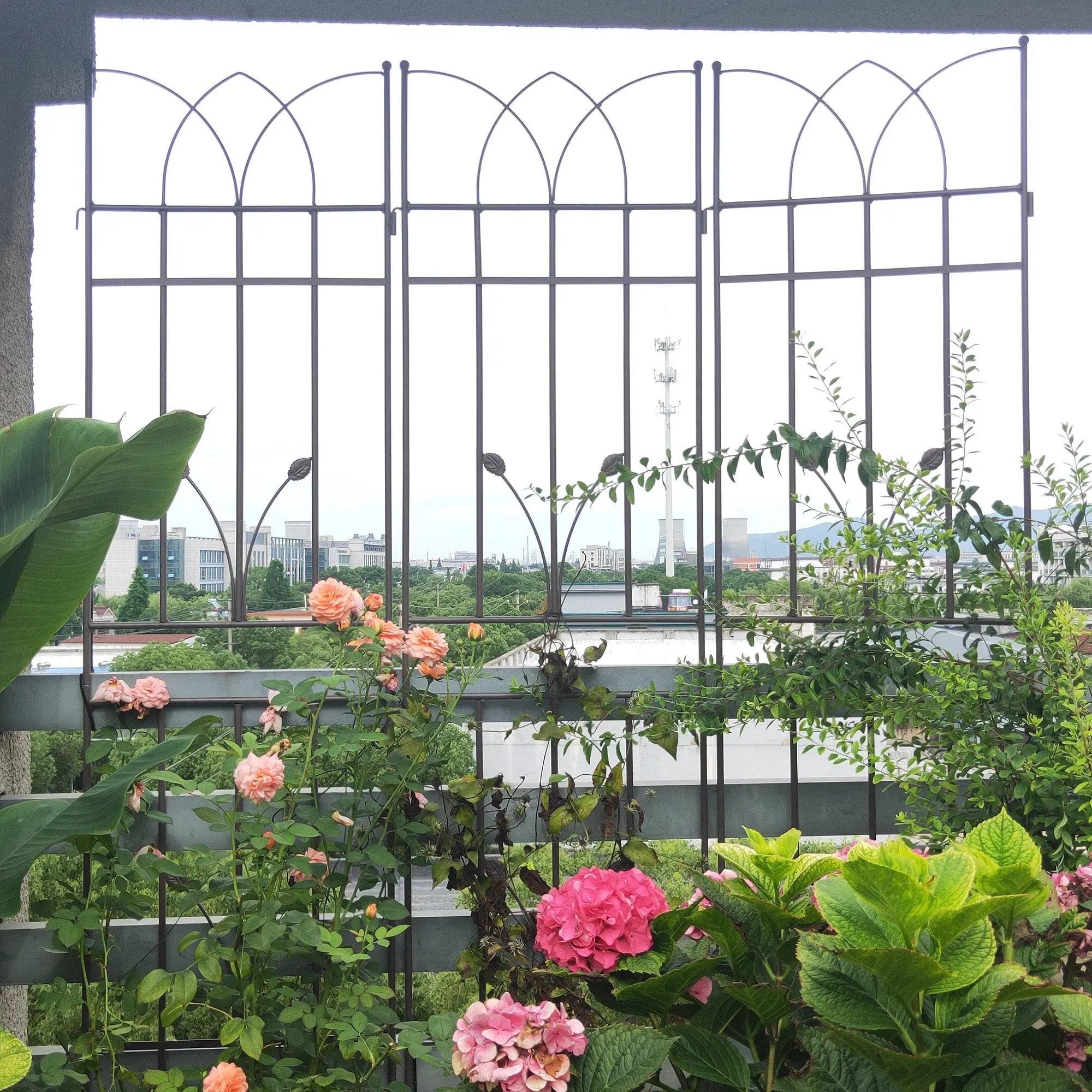 2 Pack Metal Garden Trellis by HouseOfZazla