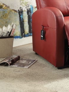 Ricardo - Power Motion Recliner With Lift, photo 9 of 12