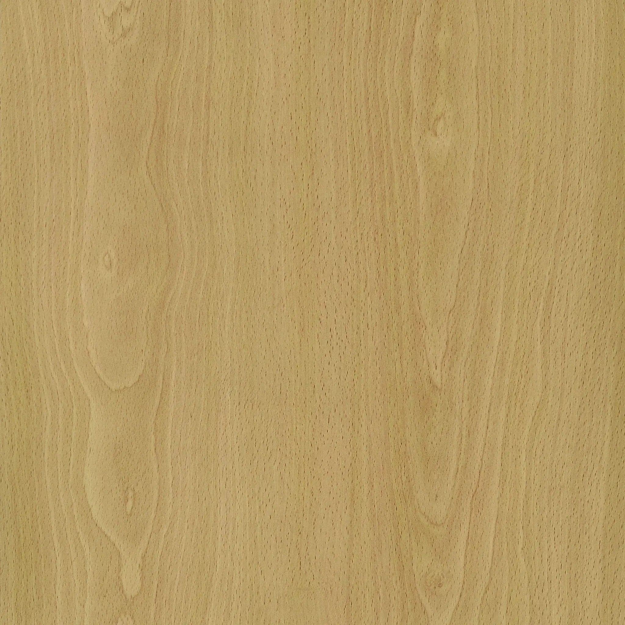 Mattison 4-Panel Room Divider Folding Shoji Screen Natural by Unique Piece Furniture