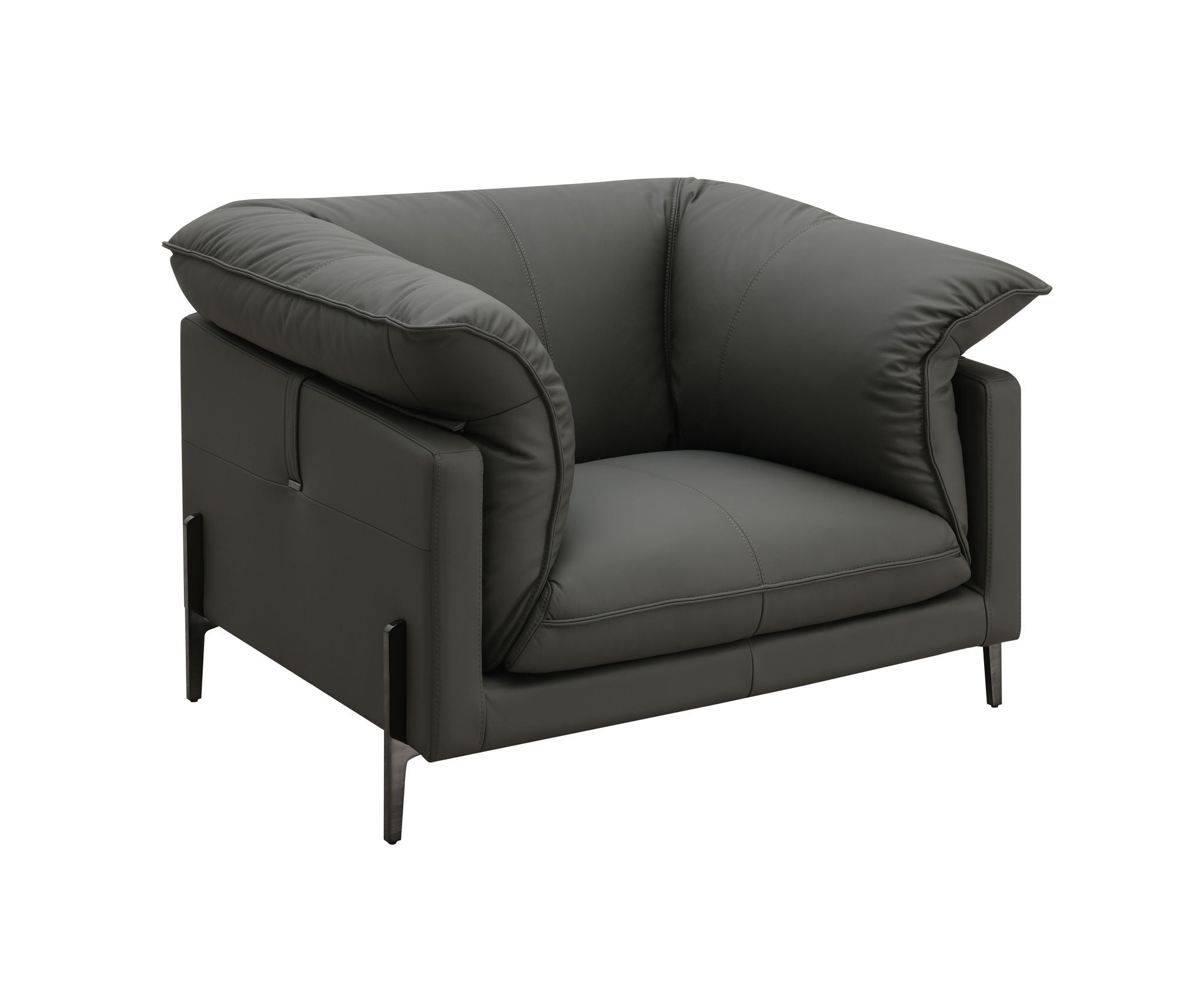 Tadi - Top Grain Leather Chair - Black by HouseOfZazla