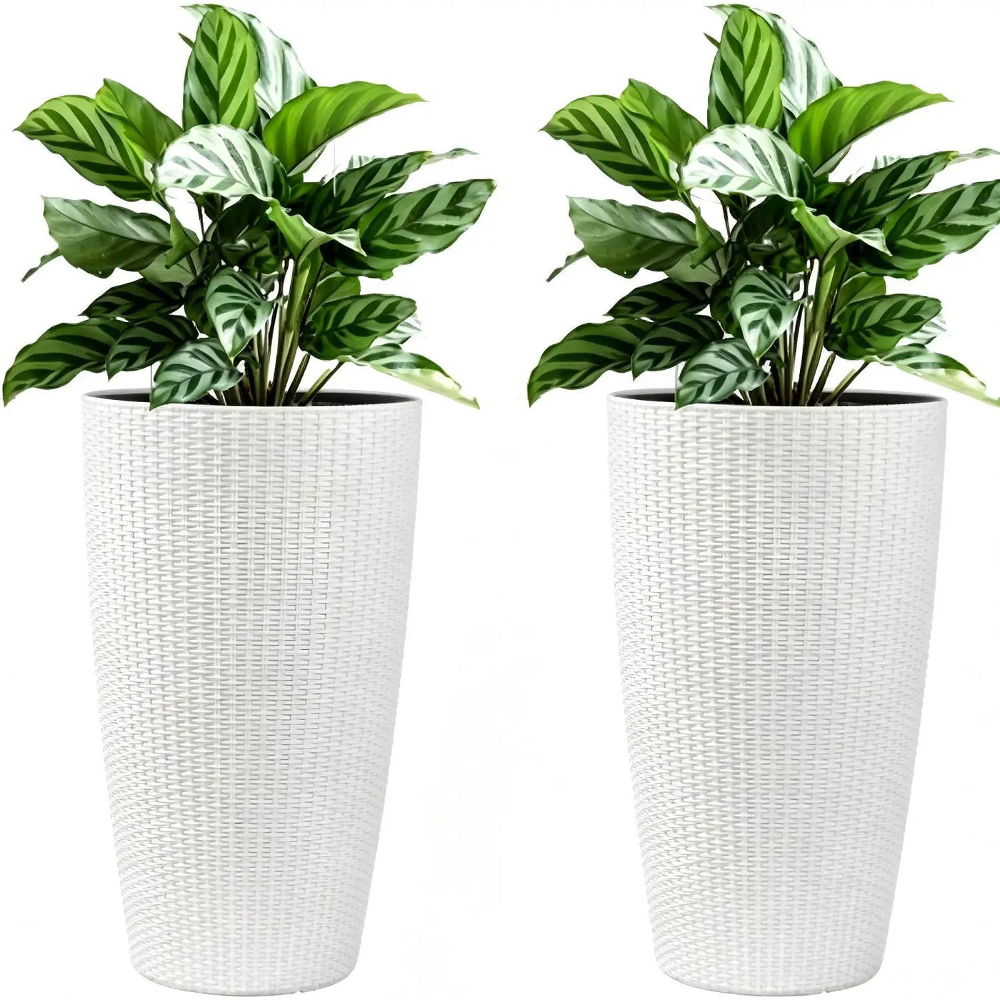 Tall Planters Set With Water Level Monitor And Auto Watering by HouseOfZazla