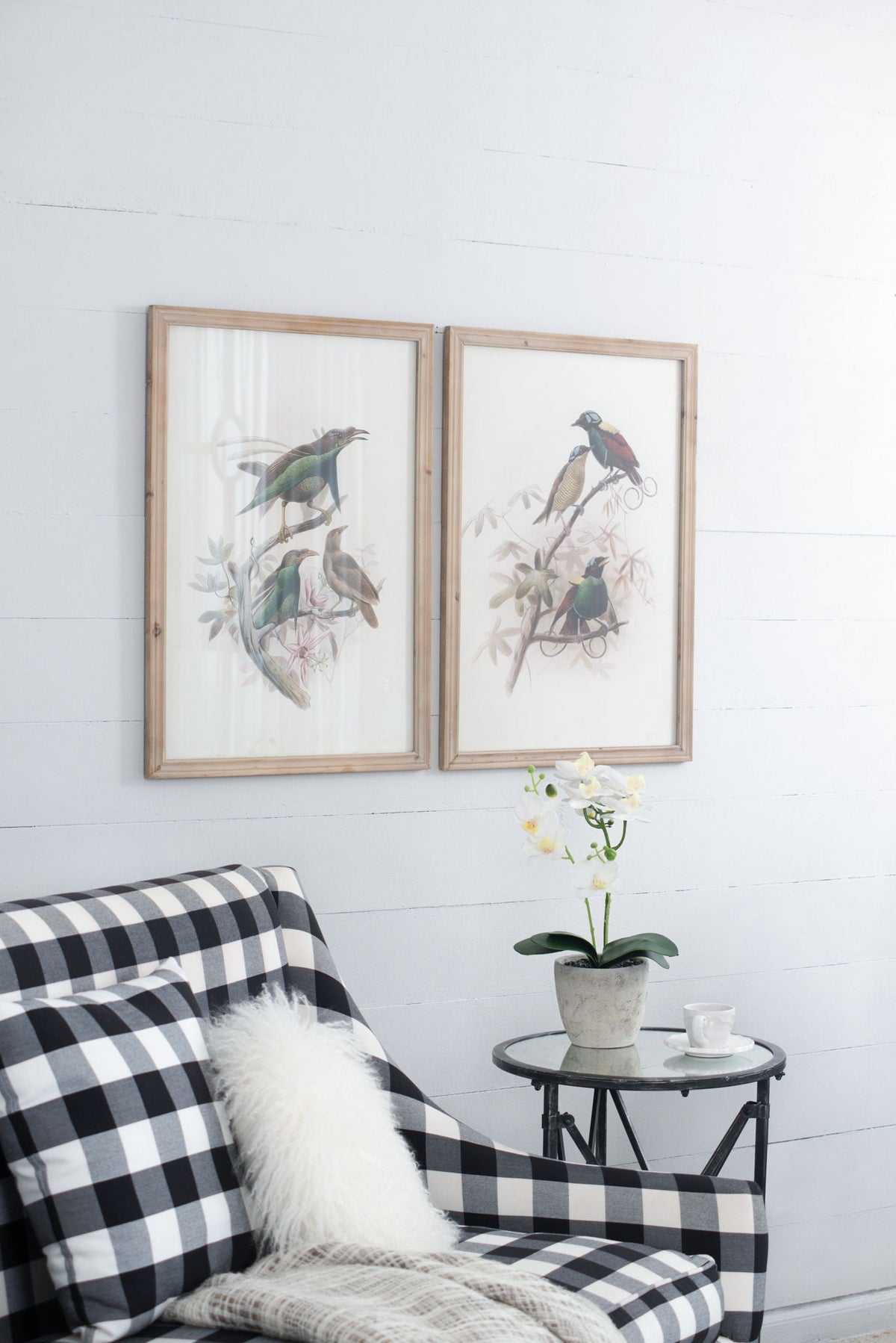 Bird Framed Print Set with Light Wood Frame - Multicolor, photo 3 of 13