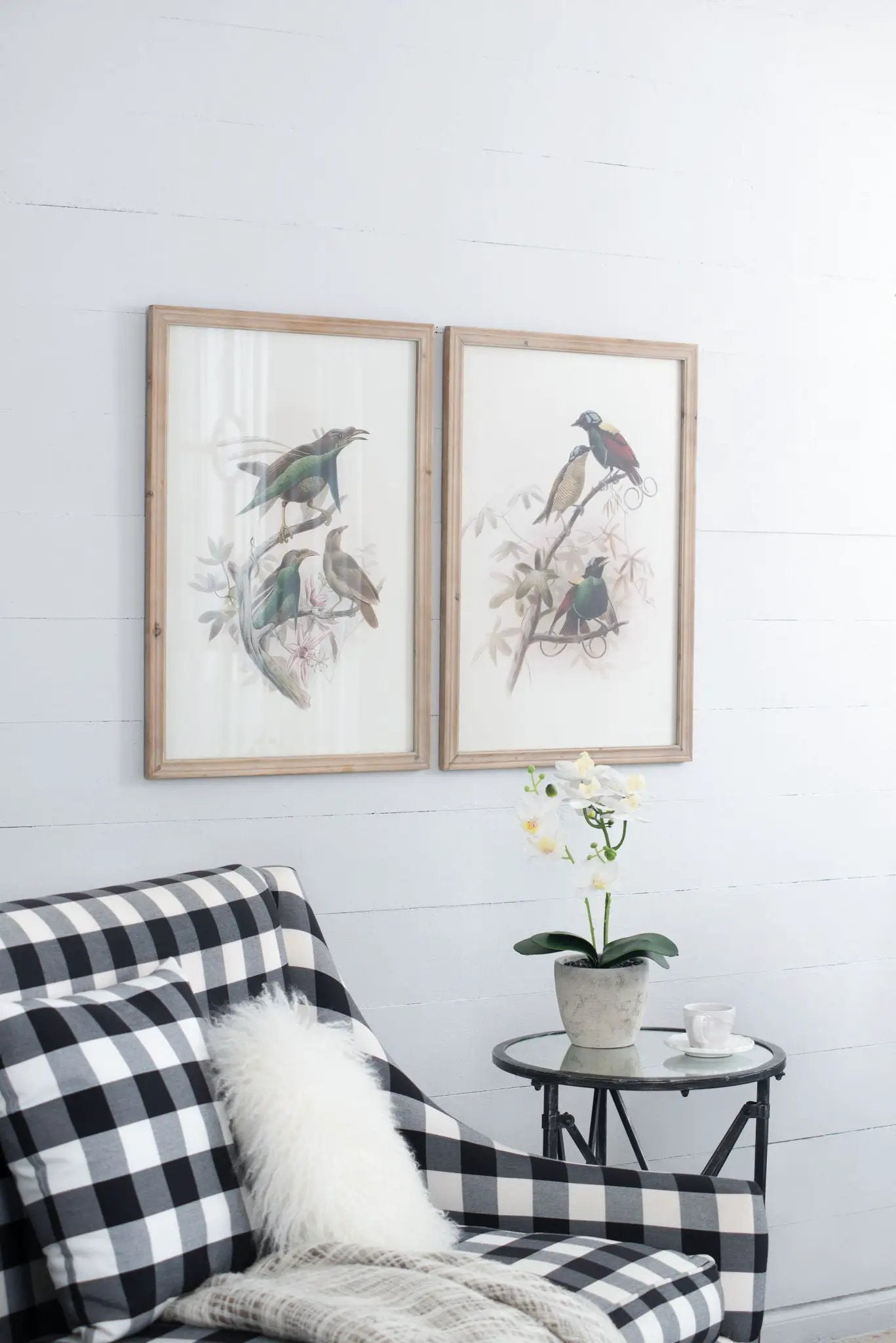 Bird Framed Print (Set of 2) - Multicolor by HouseOfZazla