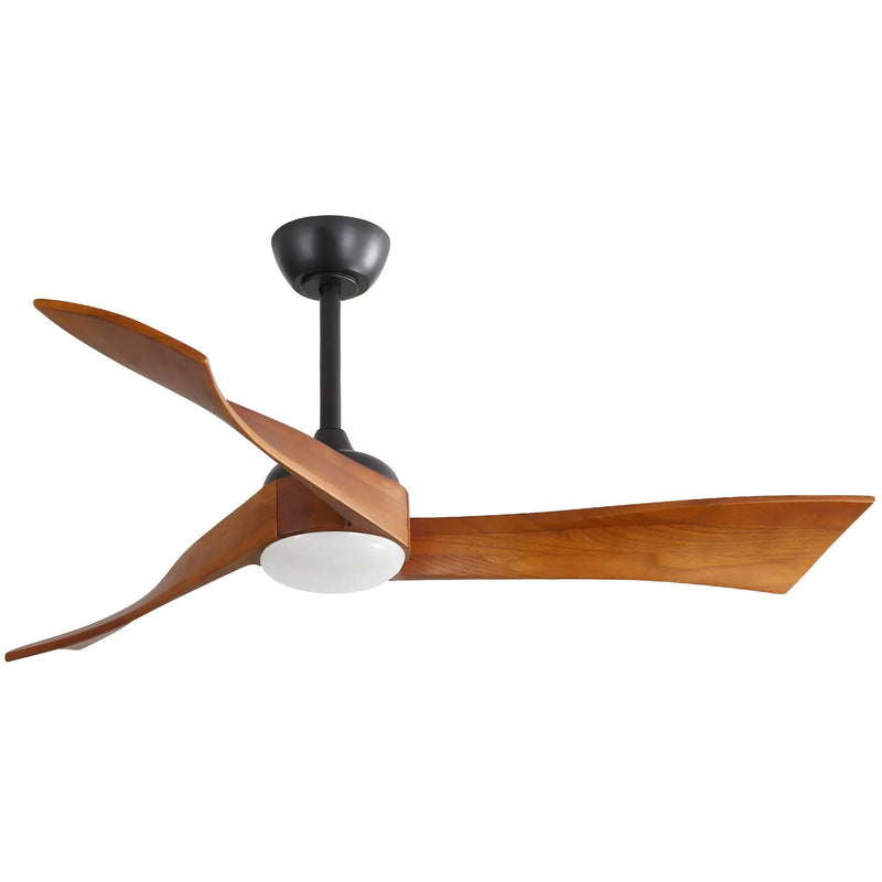 Ceiling Fan With Reversible DC Motor - Black by HouseOfZazla