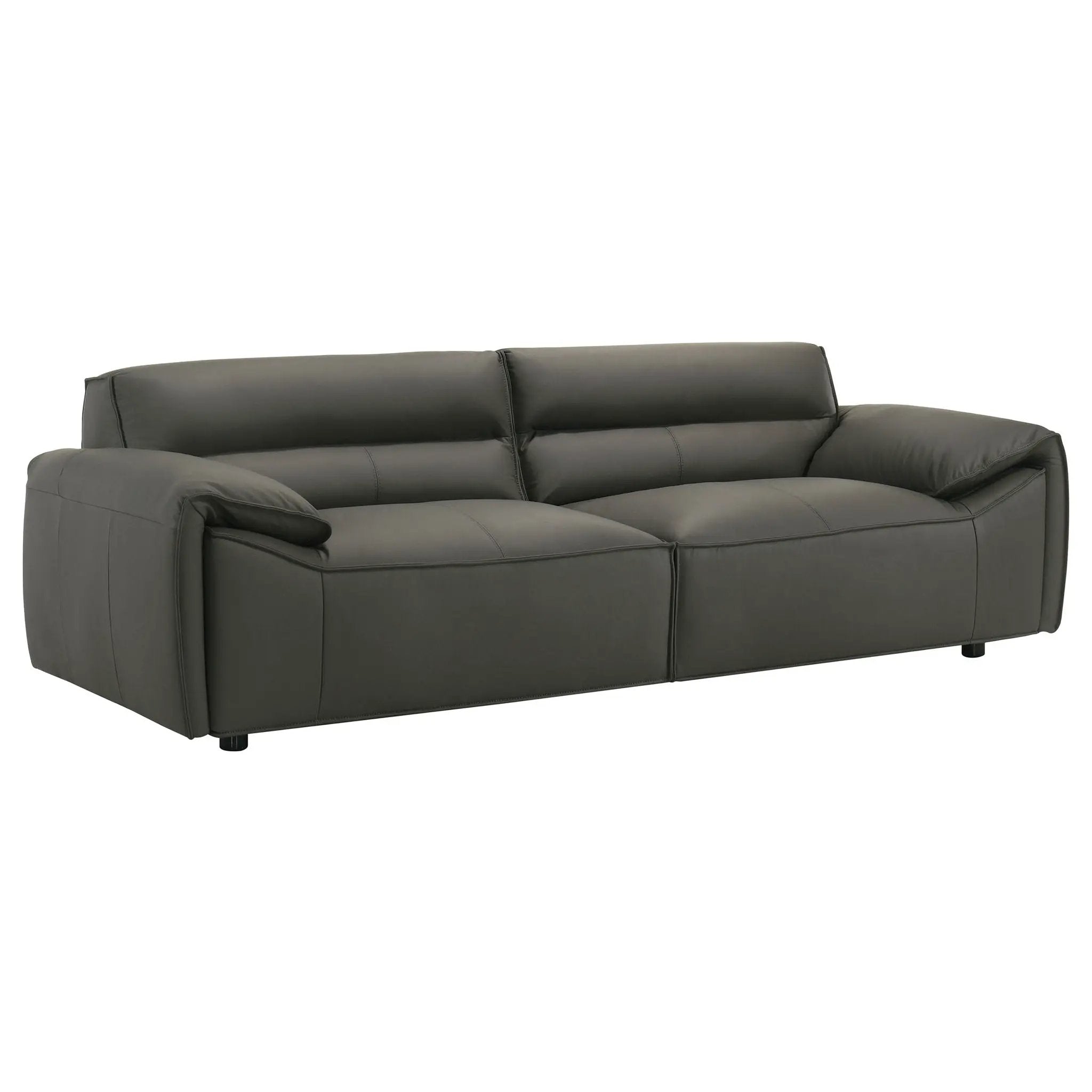 Buxton 2-piece Leather Upholstered Sofa Set Graphite by Unique Piece Furniture