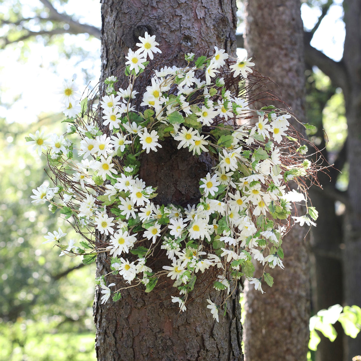 White Daisy Floral Wreath 23"D, photo 2 of 2