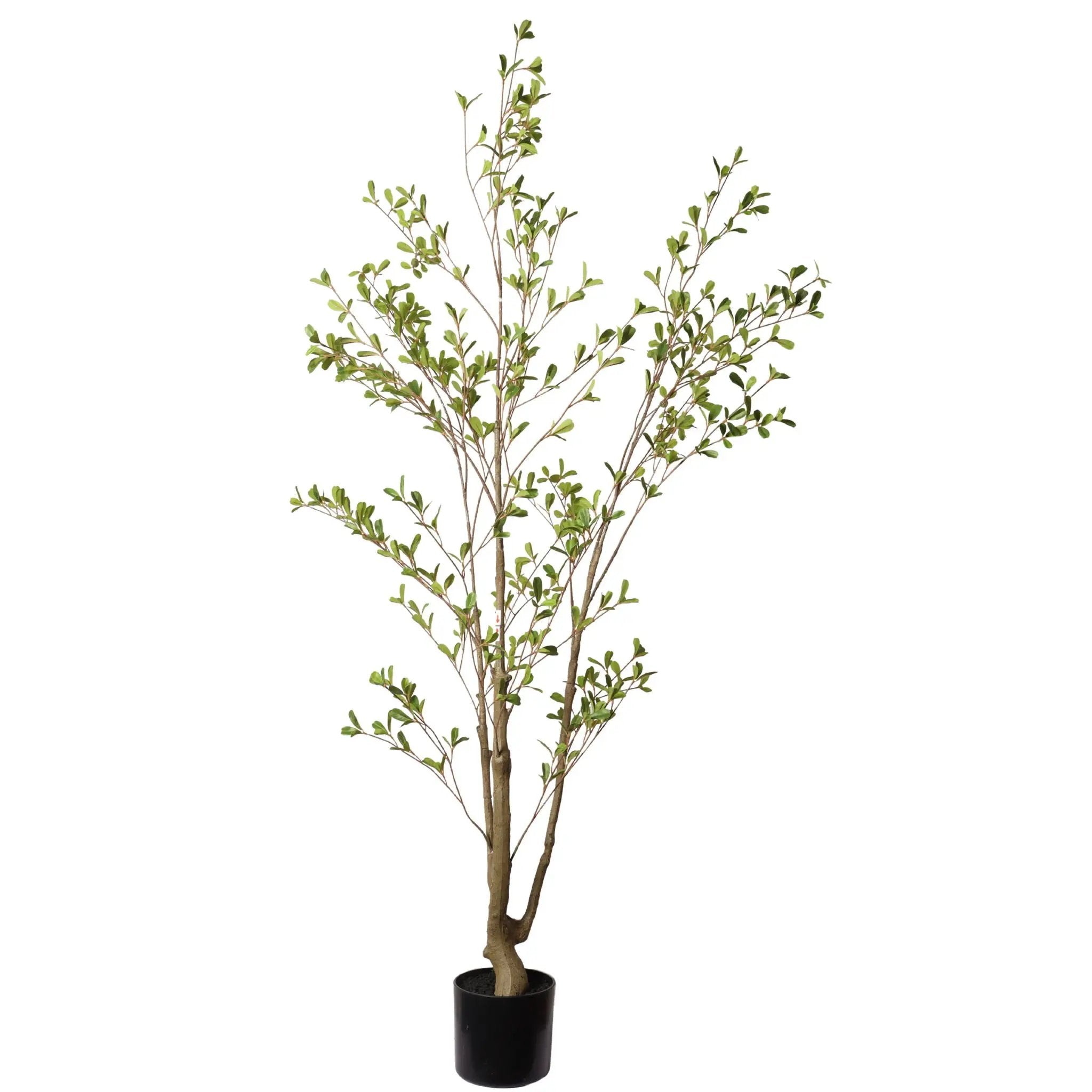 Lifelike Artificial Olive Tree With Plastic Pot For Home Living Room Decor - Green Leaves by Unique Piece Furniture