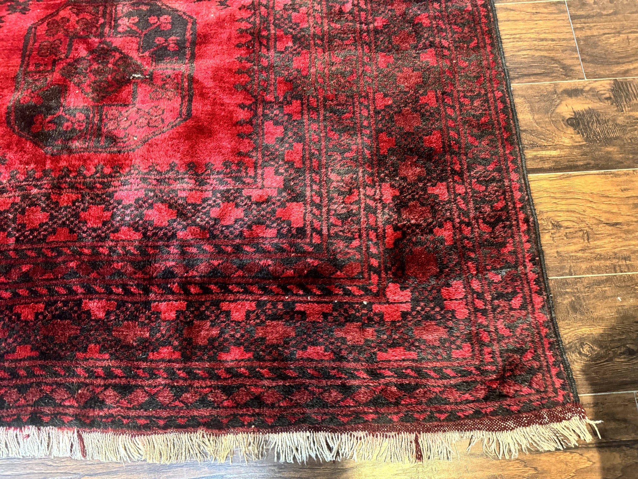 Afghan Turkoman Rug 9x10, Red Beshir Carpet, Tribal, Wool, Antique by Jewel Rugs