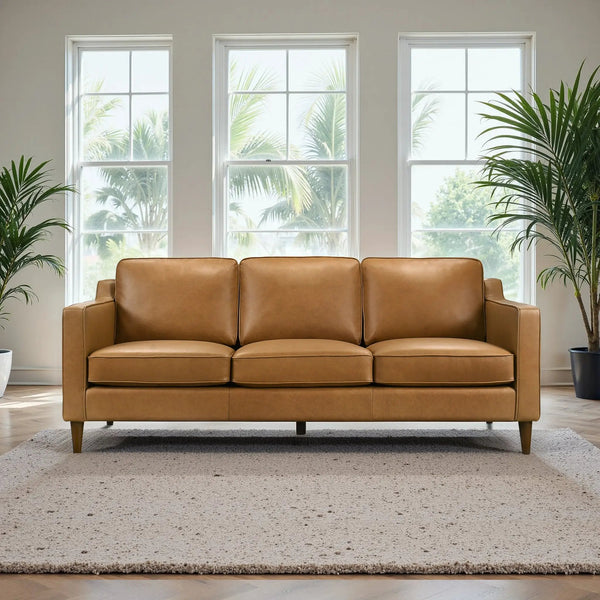 Cooper Mid Century Modern Sofa