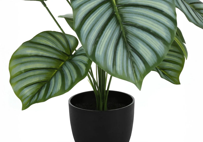 24" Tall Artificial Calathea Plant by HouseOfZazla