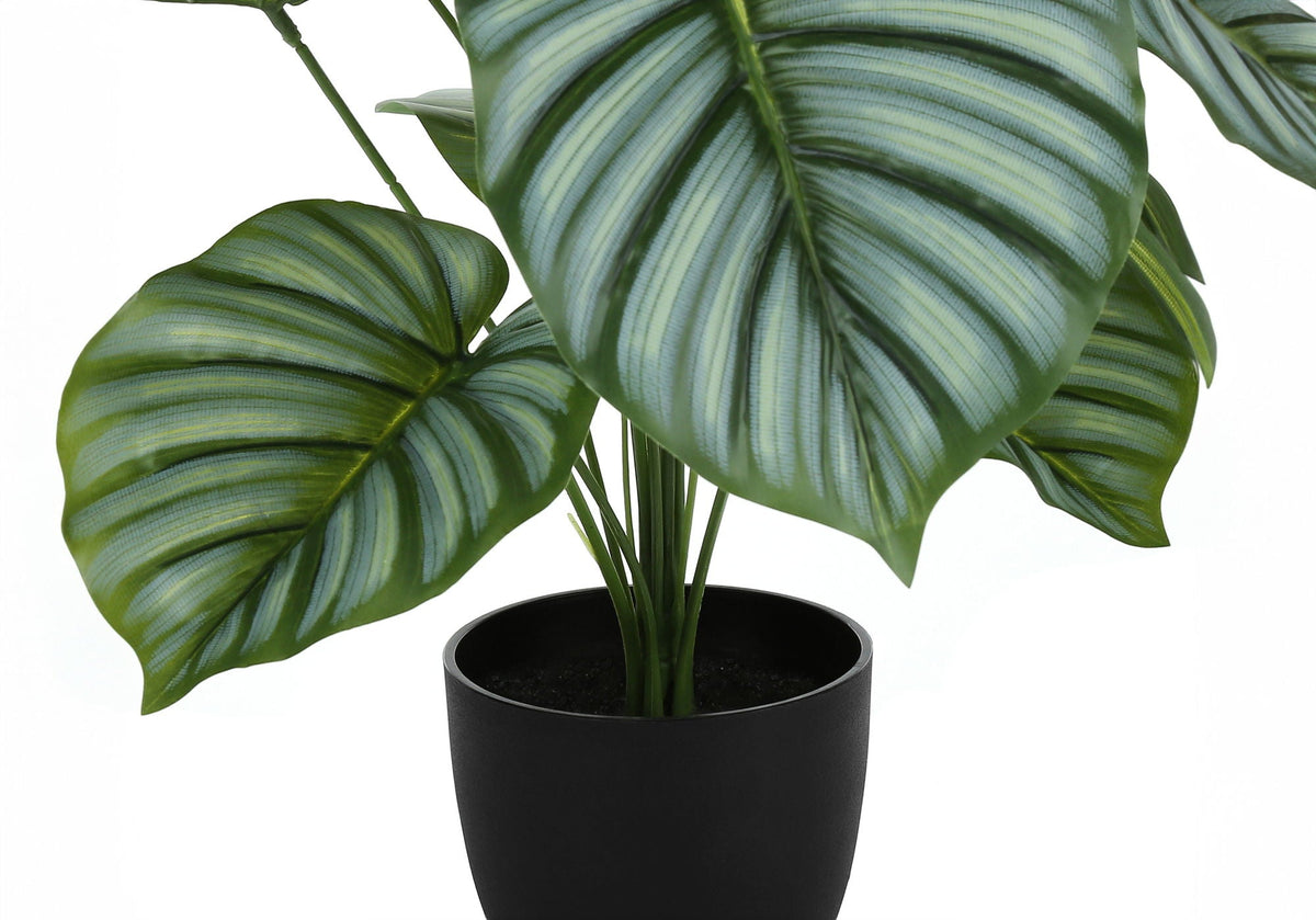 24" Tall Artificial Calathea Plant with Real-Touch Leaves - Green, photo 2 of 4