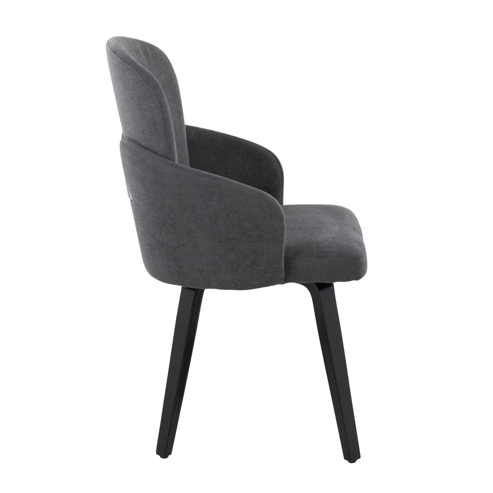 Dahlia - Contemporary Elegant Dining Chair (Set of 2) by HouseOfZazla