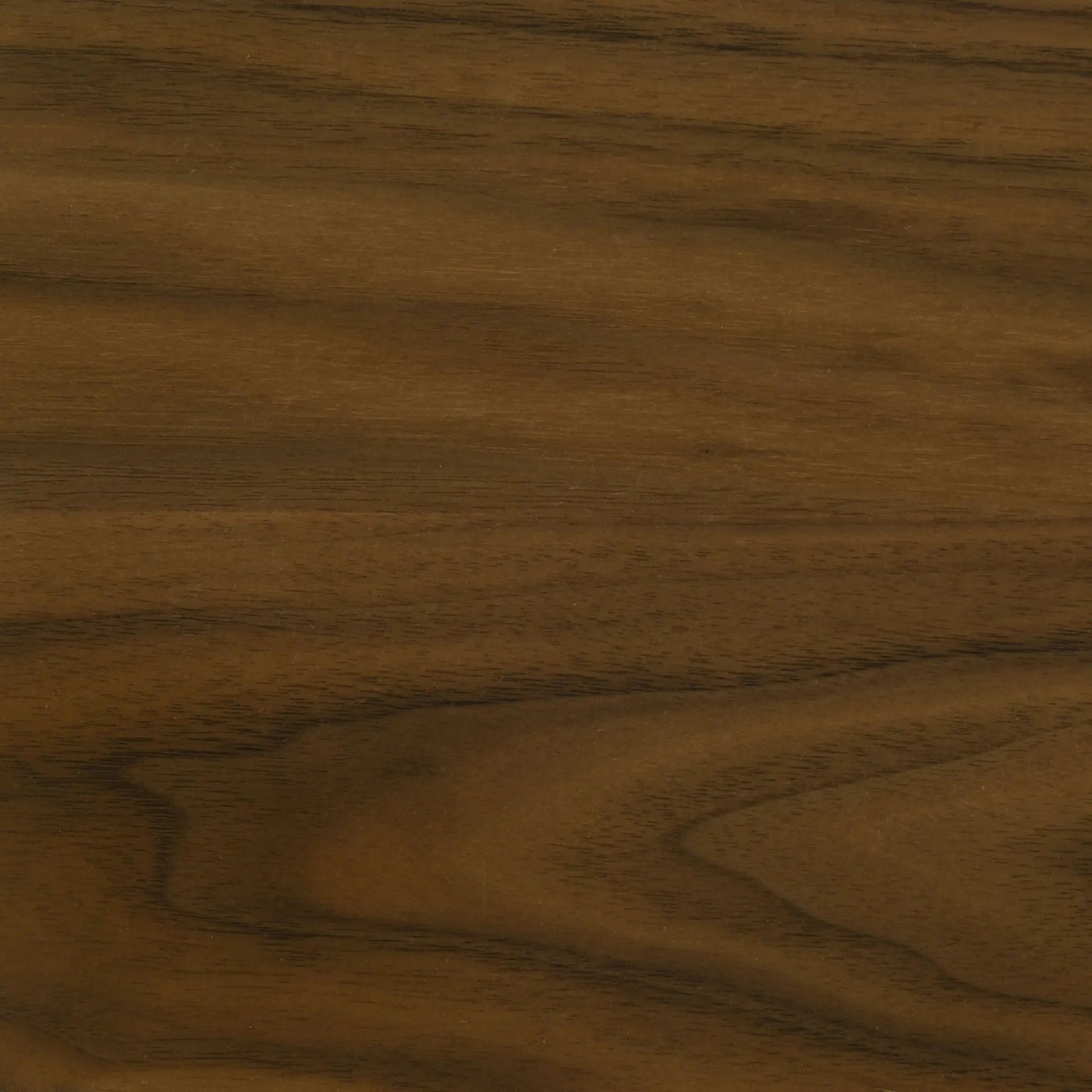 Shorna - Dining Set by HouseOfZazla